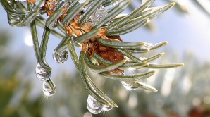 Погода на 23 февраля 2012