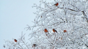 Погода на 18 февраля 2012