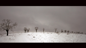 Погода на 20 февраля 2012