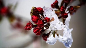 Погода на 29 февраля 2012