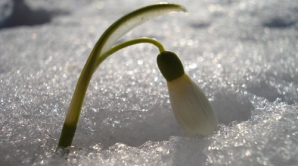 Погода на 7 дней