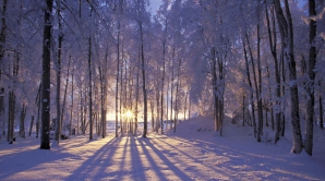 Погода на 10 февраля 2012