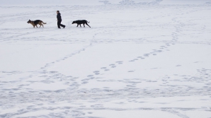 Прогулки по льду могут быть опасны, предупреждают специалисты