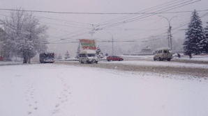 Митинг в поддержку Путина в Тирасполе отменили из-за непогоды