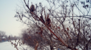 Погода на 28 февраля 2012