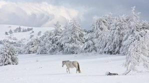Погода на 9 февраля 2012
