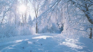 Погода на 12 февраля 2012