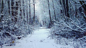 Погода на 15 февраля 2012