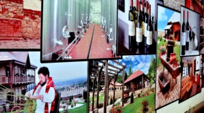 "ExpoVin - 2012": в выставке участвуют более 140 компаний   