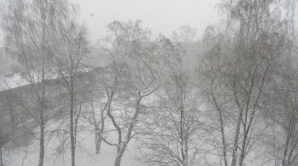 Погода на 11 февраля 2012