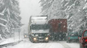 25 грузовиков из Молдовы застряли на таможне Албица