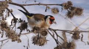 Погода на 19 февраля 2012