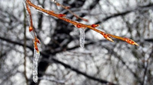 Погода на 22 февраля 2012