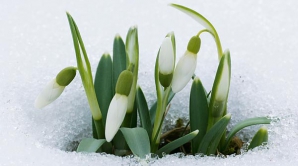 Погода на 1 марта 2012