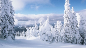 Погода на 8 февраля 2012