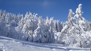 Погода на 7 февраля 2012