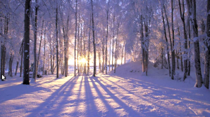 Погода на 7 дней