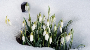 Погода на 12 марта 2012