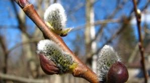 Погода на 9 марта 2012