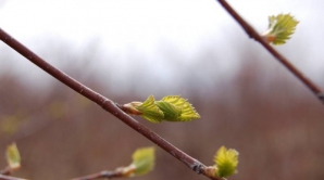 Погода на 20 марта 2012