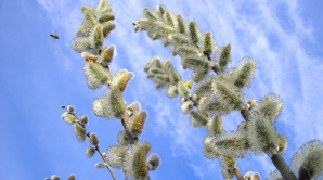 Погода на 15 марта 2012