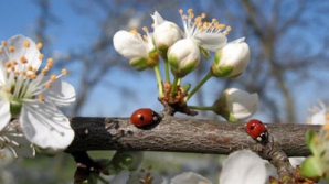Погода на 27 марта 2012