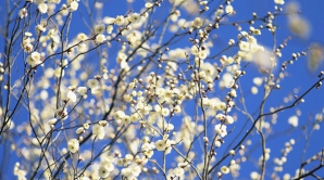 Погода на 18 марта 2012