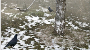 Погода на 5 марта 2012 