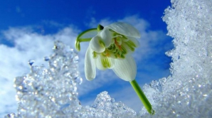 Погода на 7 марта 2012