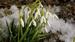 Погода на 16 марта 2012