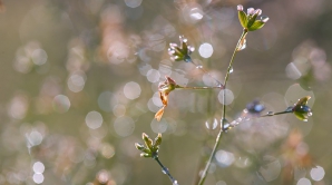 Погода на 19 марта 2012