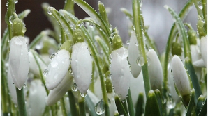 Погода на 4 марта 2012