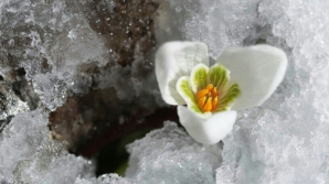Погода на 3 марта 2012