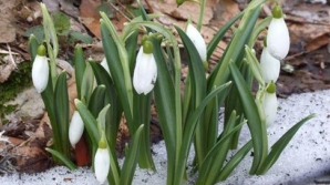 Погода на 11 марта 2012