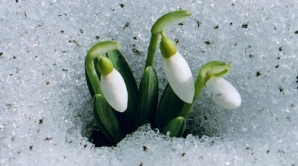 Погода на 2 марта 2012