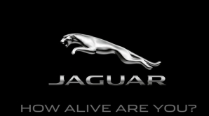 Jaguar обновил логотип