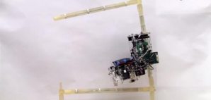 Робот собирает конструкции, карабкаясь по ним (ВИДЕО)