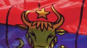 Красно-синий флаг может появиться на зданиях госучреждений в Бельцах