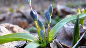 Погода на 8 марта 2012