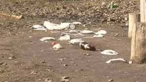 Растаявший снег обнажил еще одну проблему: улицы городов буквально завалены мусором