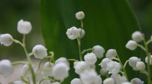 Погода на 14 марта 2012