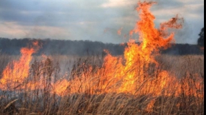 Более сотни пожаров произошло за минувшие сутки в Молдове