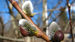 Погода на 23 марта 2012