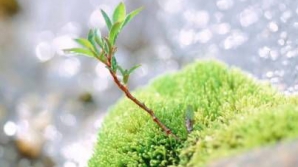 Погода на 6 марта 2012