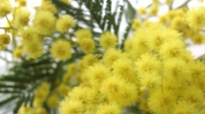 Погода на 13 марта 2012