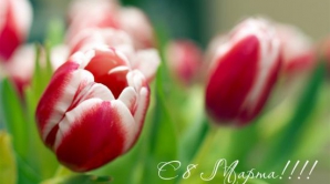 Мариан Лупу поздравил женщин Молдовы с праздником (ВИДЕО)