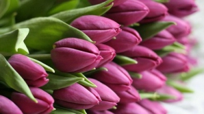 Владимир Путин поздравил супругу Мариана Лупу с 8 марта