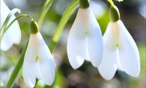 Погода на 22 марта 2012