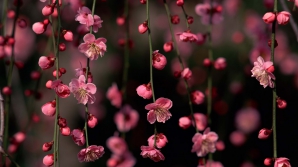 Погода на 21 марта 2012