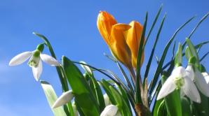 Погода на 7 дней